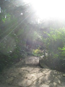 Orbs of the angels of love