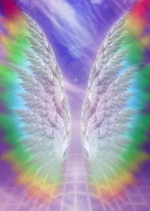 _wsb_350x494_AR+Ascociation+Blank+3$264+colours