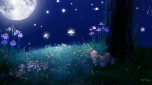 twilight-of-the-moon-bright-flowers-full-moon-glow-grass-light-sky-stars
