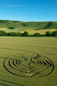 crop circle long man2