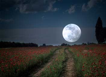 volle-maan