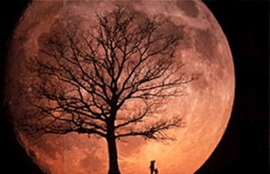 360893179e6fc3dcdad4190f8157ceab