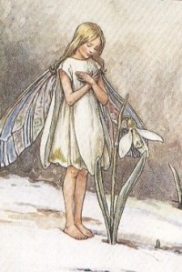 dyn008_original_243_364_pjpeg_2581047_2d77f4ed055ebb8aff5ba7762b6f39c0