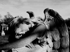 2187754923_1a9b7ca260