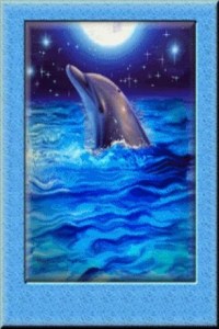 full-moon-dolphin-live-wallpap-781741-1-s-307x512