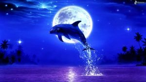 leaping-dolphin,-moon,-full-moon-190705