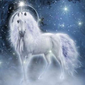 12965014_1124289060935314_1959065537_n