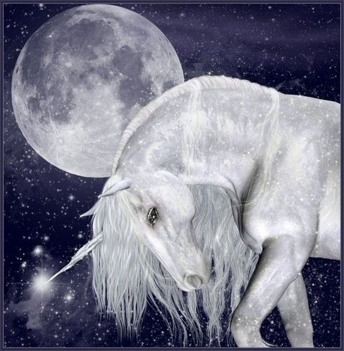 2112869d7ffb8f04111a4b8c2edd9603