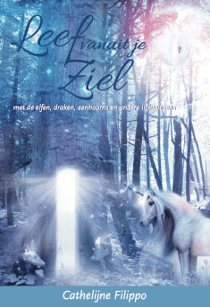 Schermafdruk 2017-06-20 11.12.59