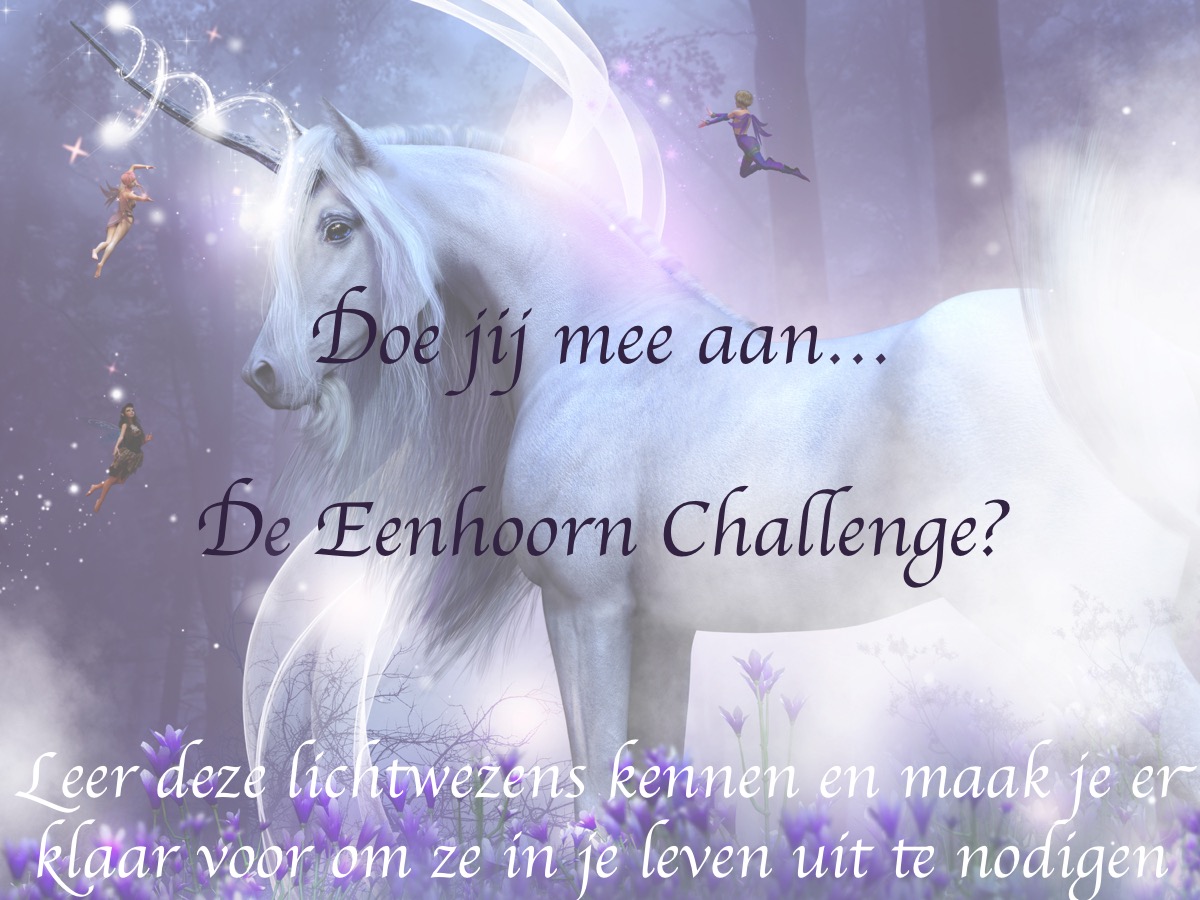 Eenhoorn challenge picture